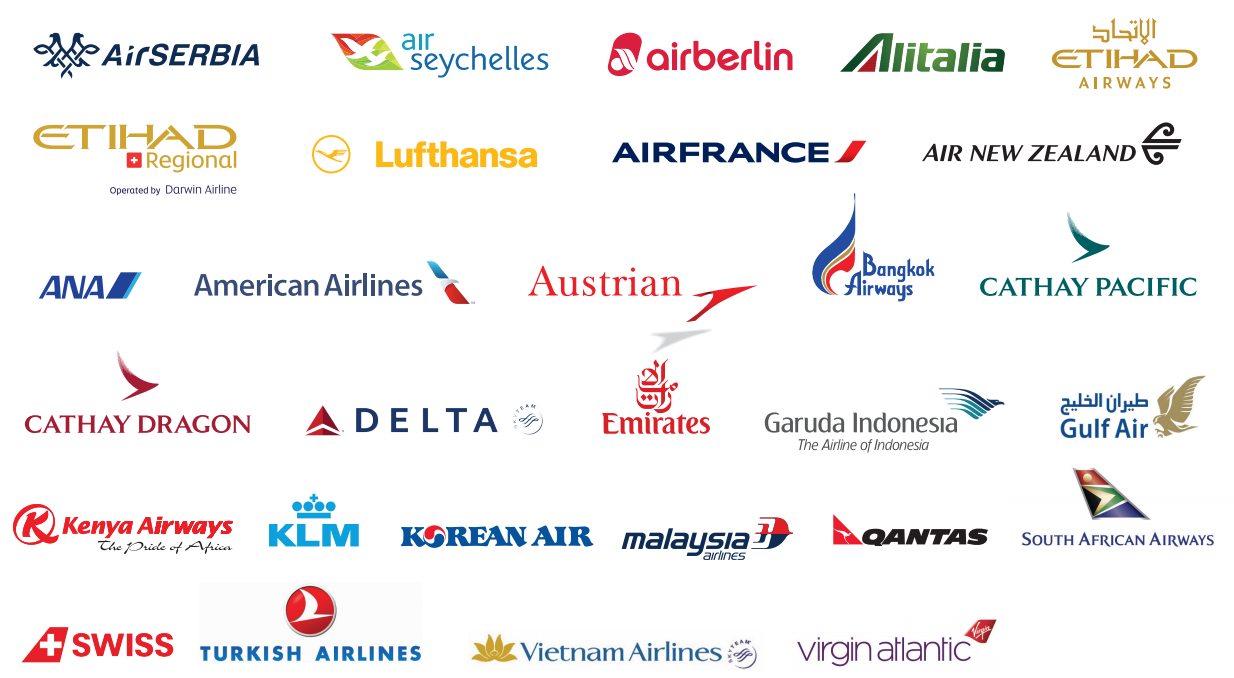 Delta Airlines Partners Chart