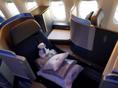 airline seat with teddy bear