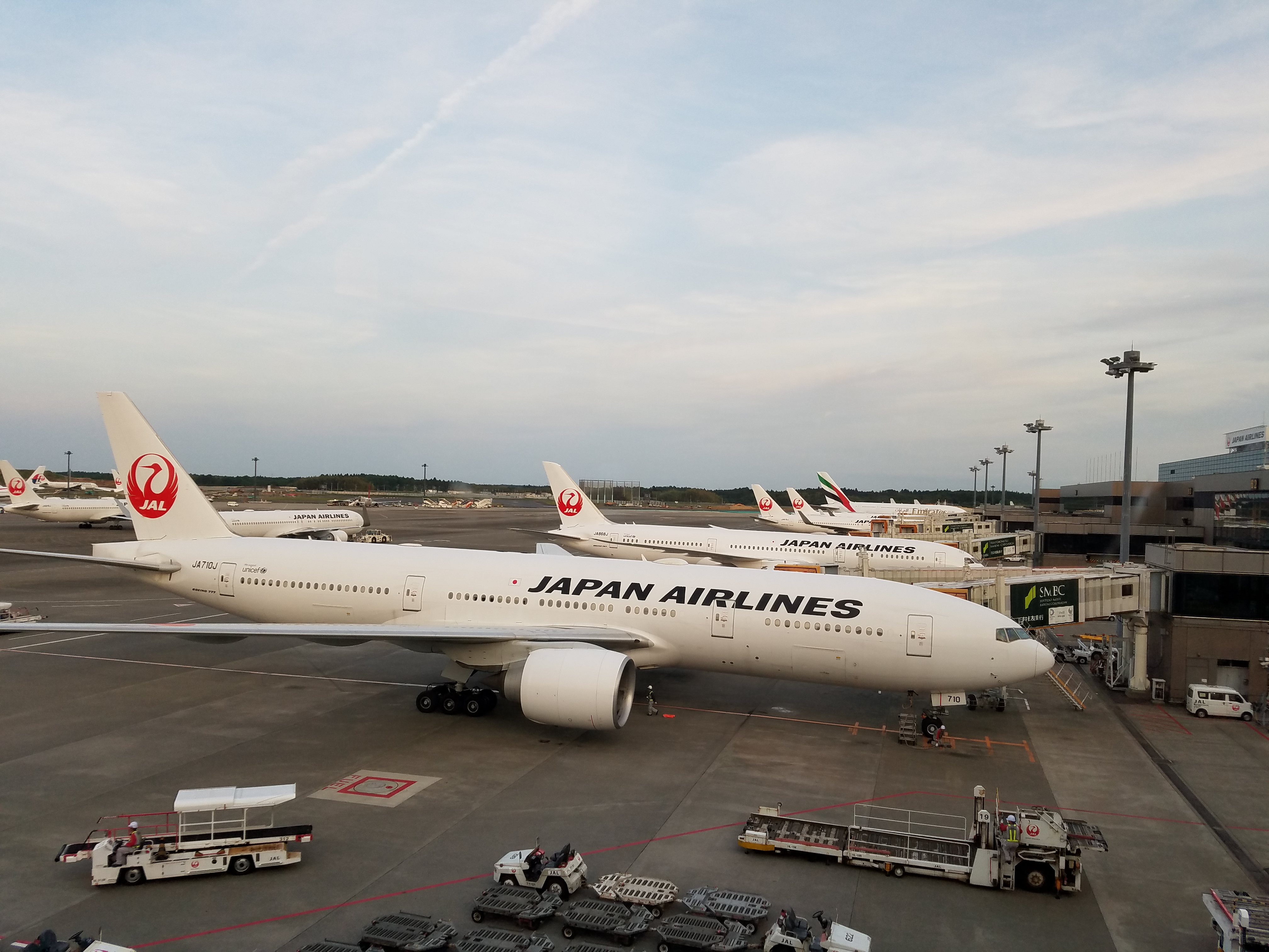 Japan Airlines Award Chart