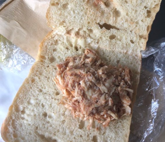 american airlines pathetic bbq sandwich