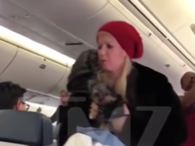 tara reid holding dog on plane