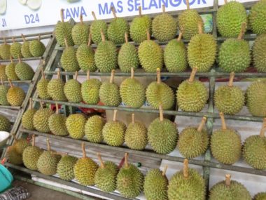 durian