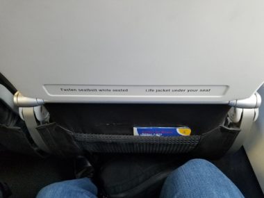 back of airplane seat