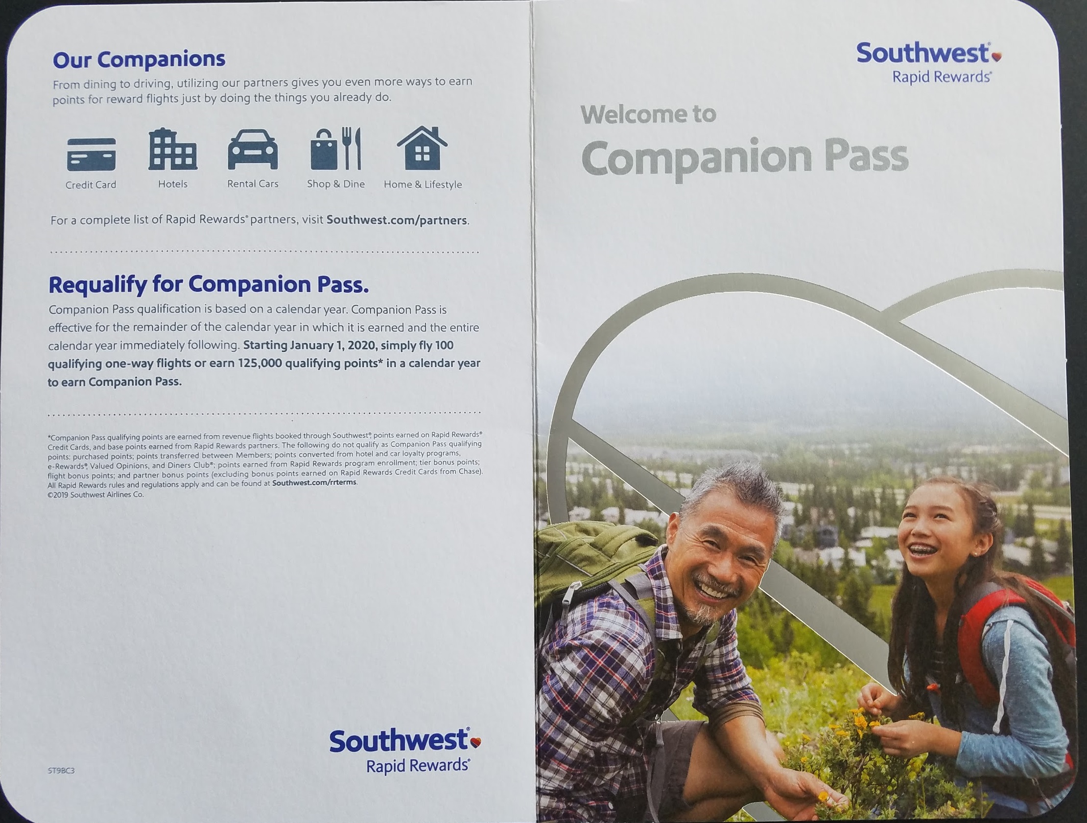 southwest airlines companion pass for a year