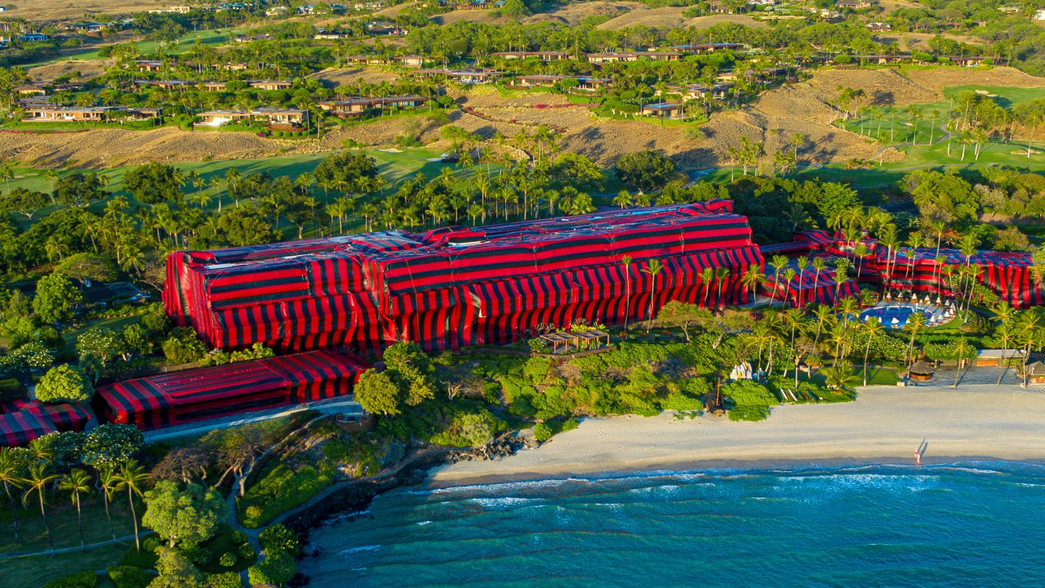 How To Tent Fumigate A 250 Room Hawaiian Resort View From The Wing