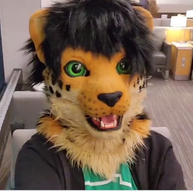 Furry Convention-Goer Hits The American Airlines Admirals Club In Boston