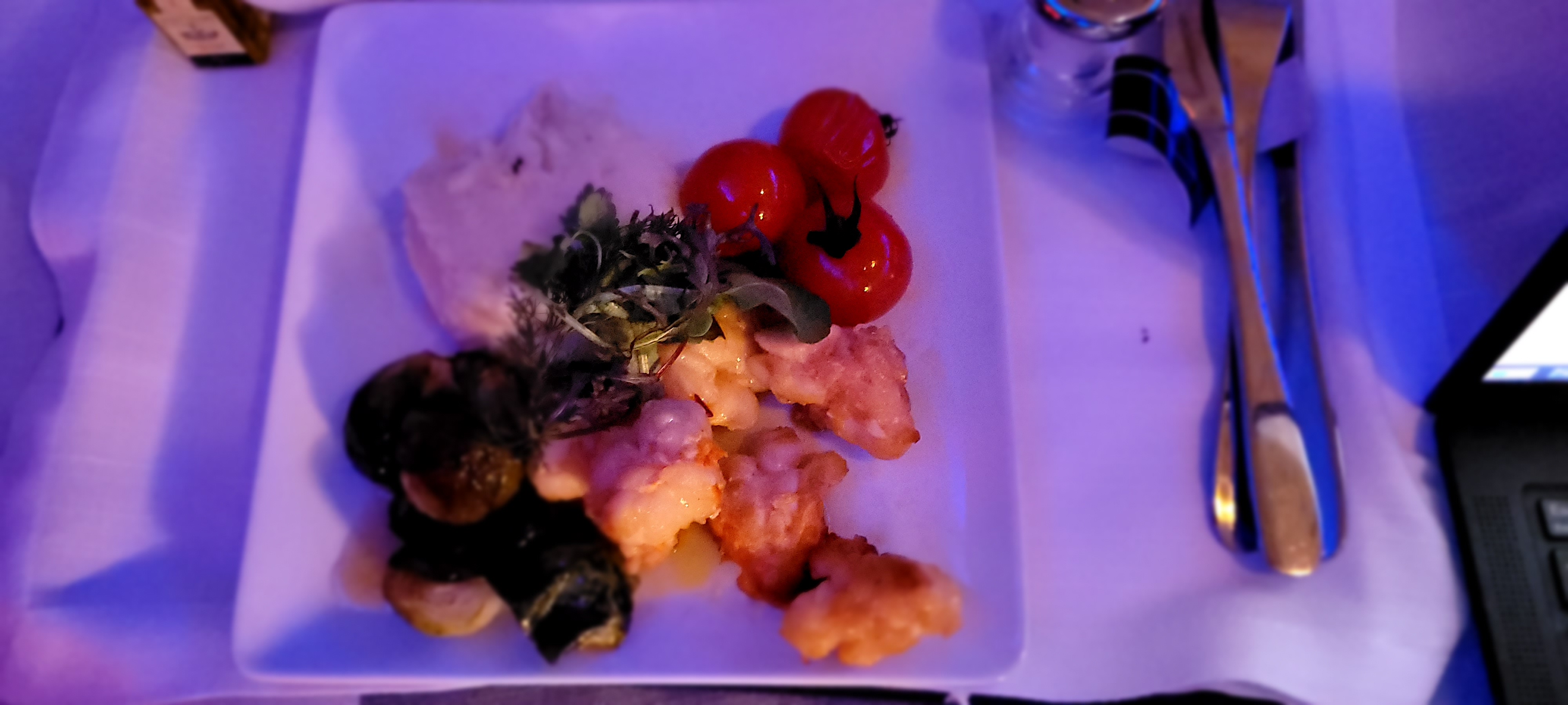 review-american-airlines-first-class-sydney-los-angeles-view-from