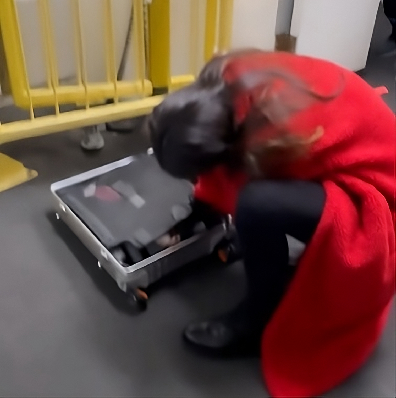 Woman Gets Off American Airlines Flight When The Vibrator In Her Carry-On  Won't Turn Off - View from the Wing