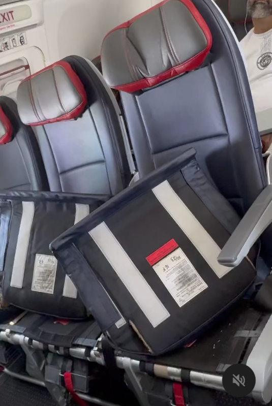 American Airlines Flight Attendant Rips Off Seat Cushions to Stop Passengers From Grabbing Free Extra Legroom