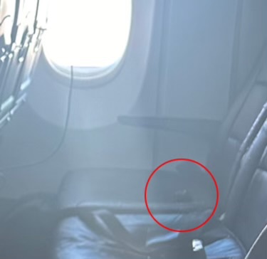 Dog Poops on American Airlines Seat, Passengers Endure Horrific Stench for Entire Flight