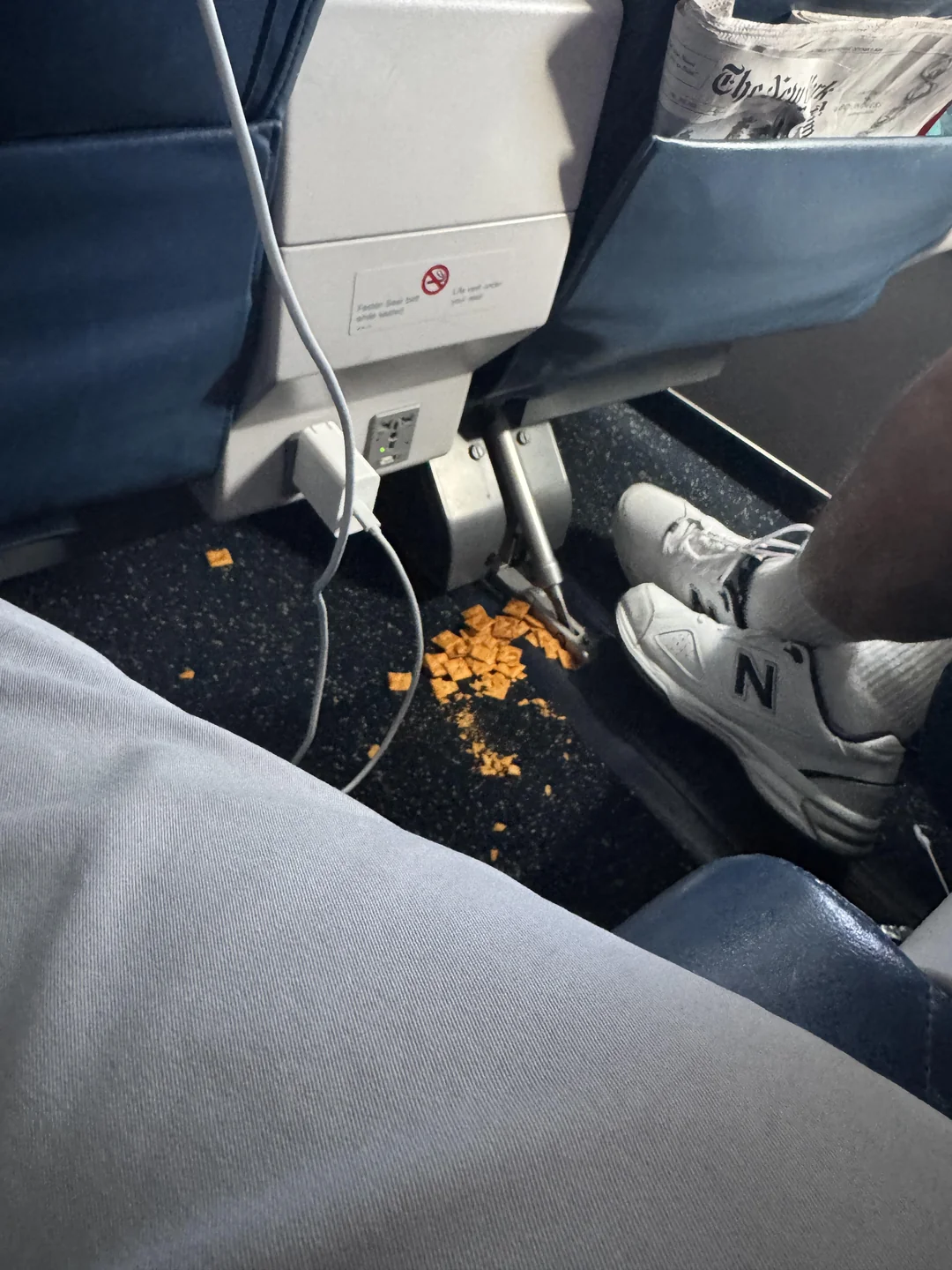 Delta First Class Passenger Grinds Snacks Into The Floor, Steals