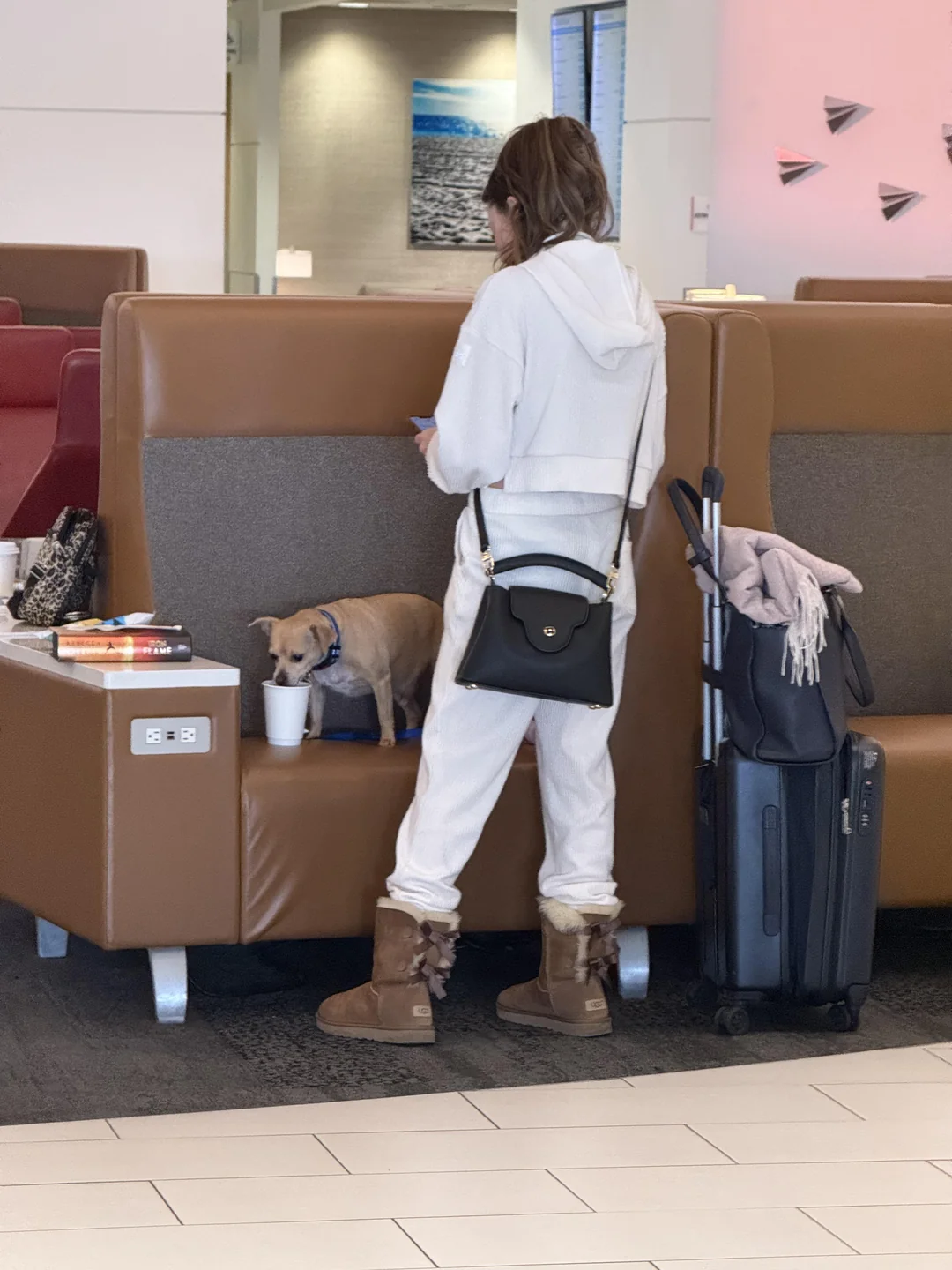 Dogs Are Dining Better Than You At The American Airlines Admirals Club—And Nobody’s Stopping It