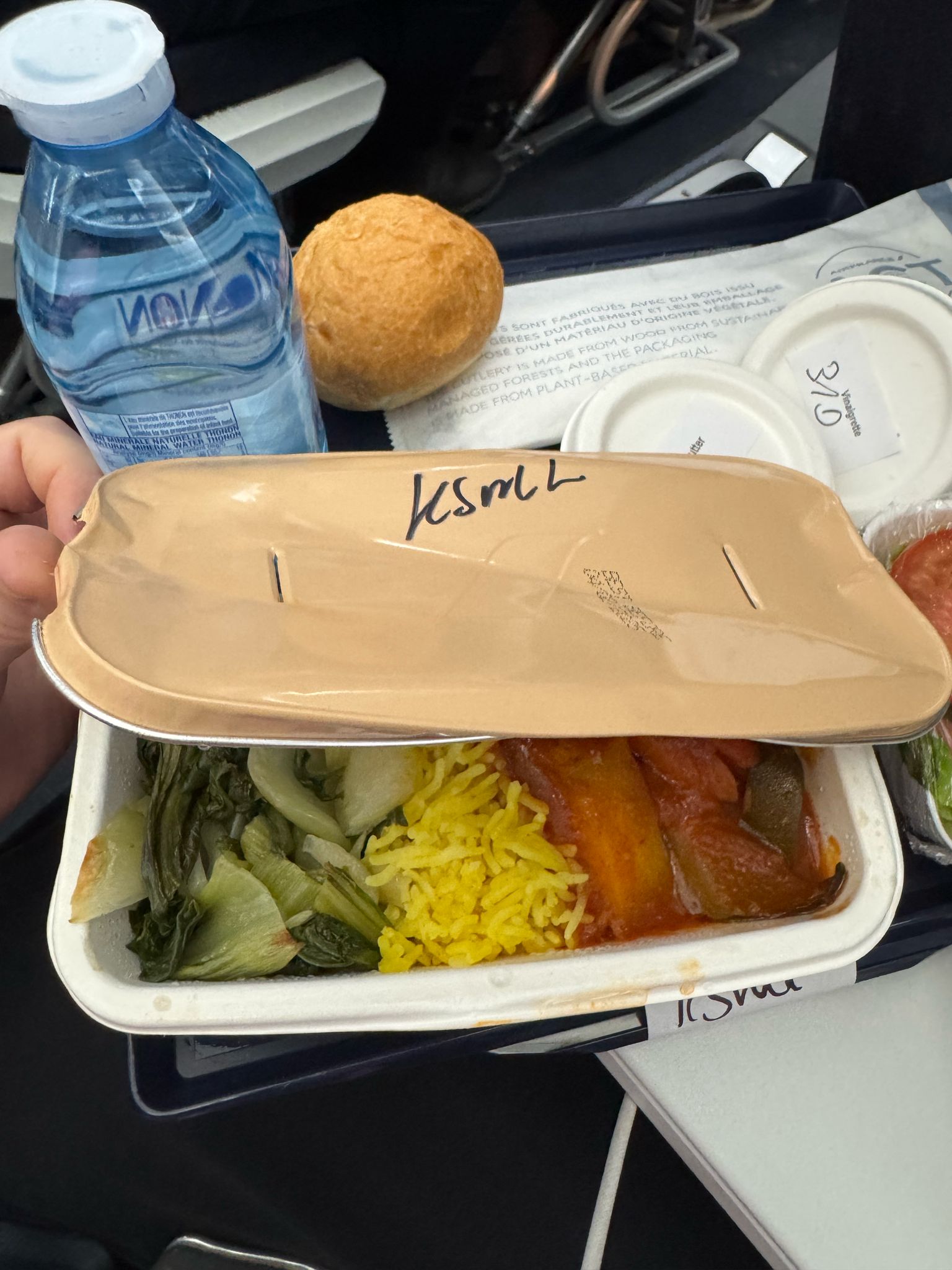 Air France Scandal: Kosher Meals Forgotten, Fakes Allegedly Used Instead