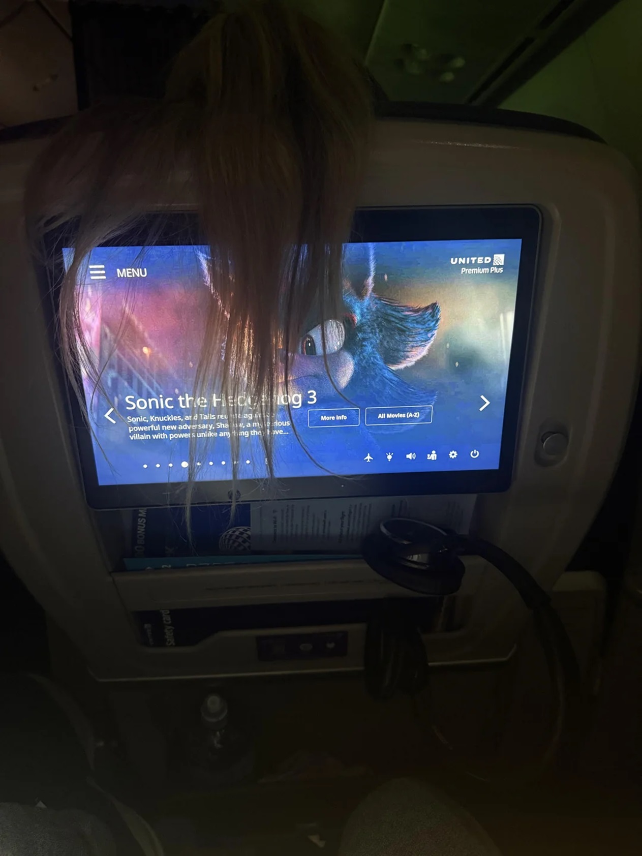 She Draped Her Hair Over the Seatback Screen on United Airlines—Would You Use Coffee, Gum, Or Scissors? [Roundup]