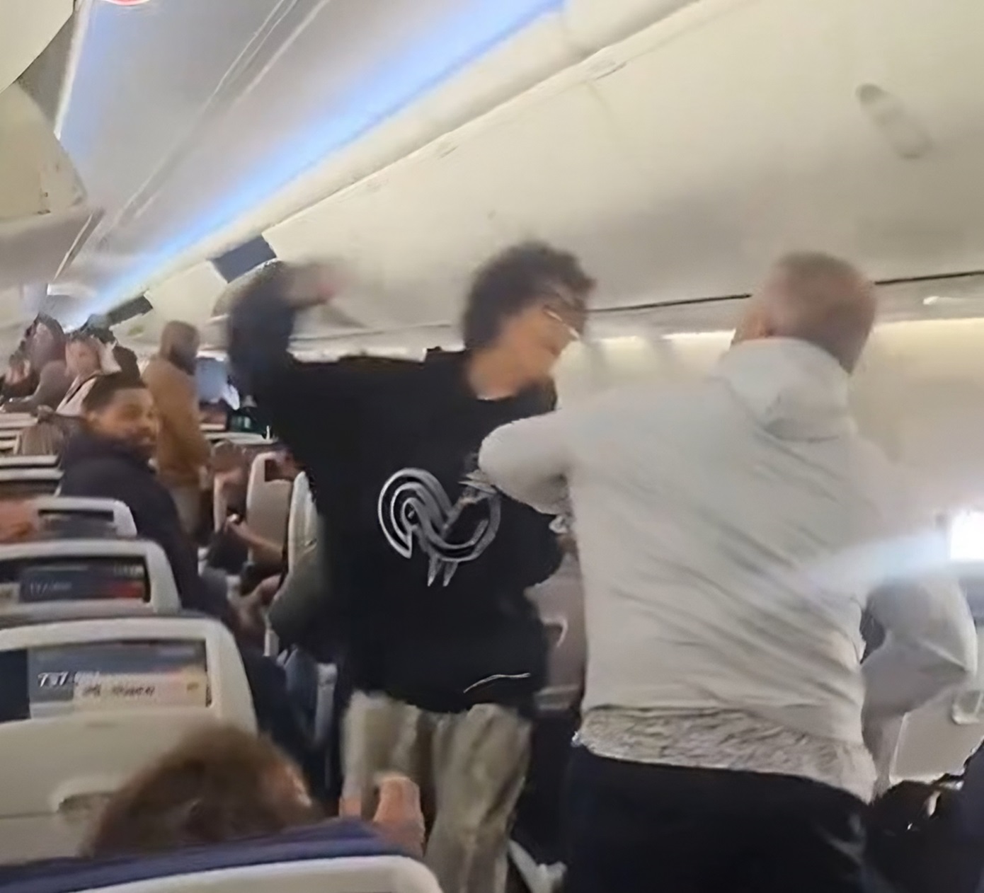 Video Captures Southwest Passenger Punching Stranger After Aisle Chaos—Has To Be Restrained [Roundup]