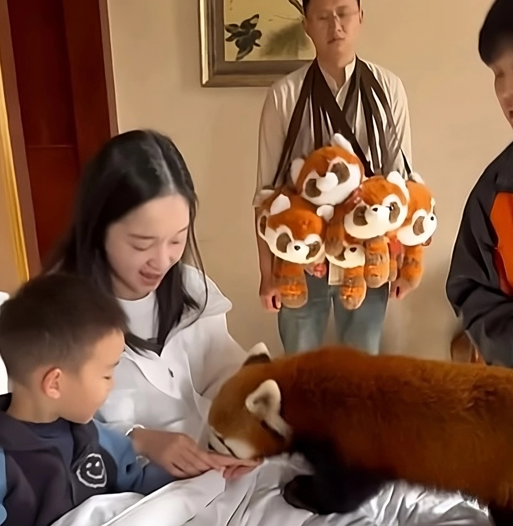 Guests Paid $280 To Snuggle Endangered Red Pandas—Now The Government Is Shutting It Down