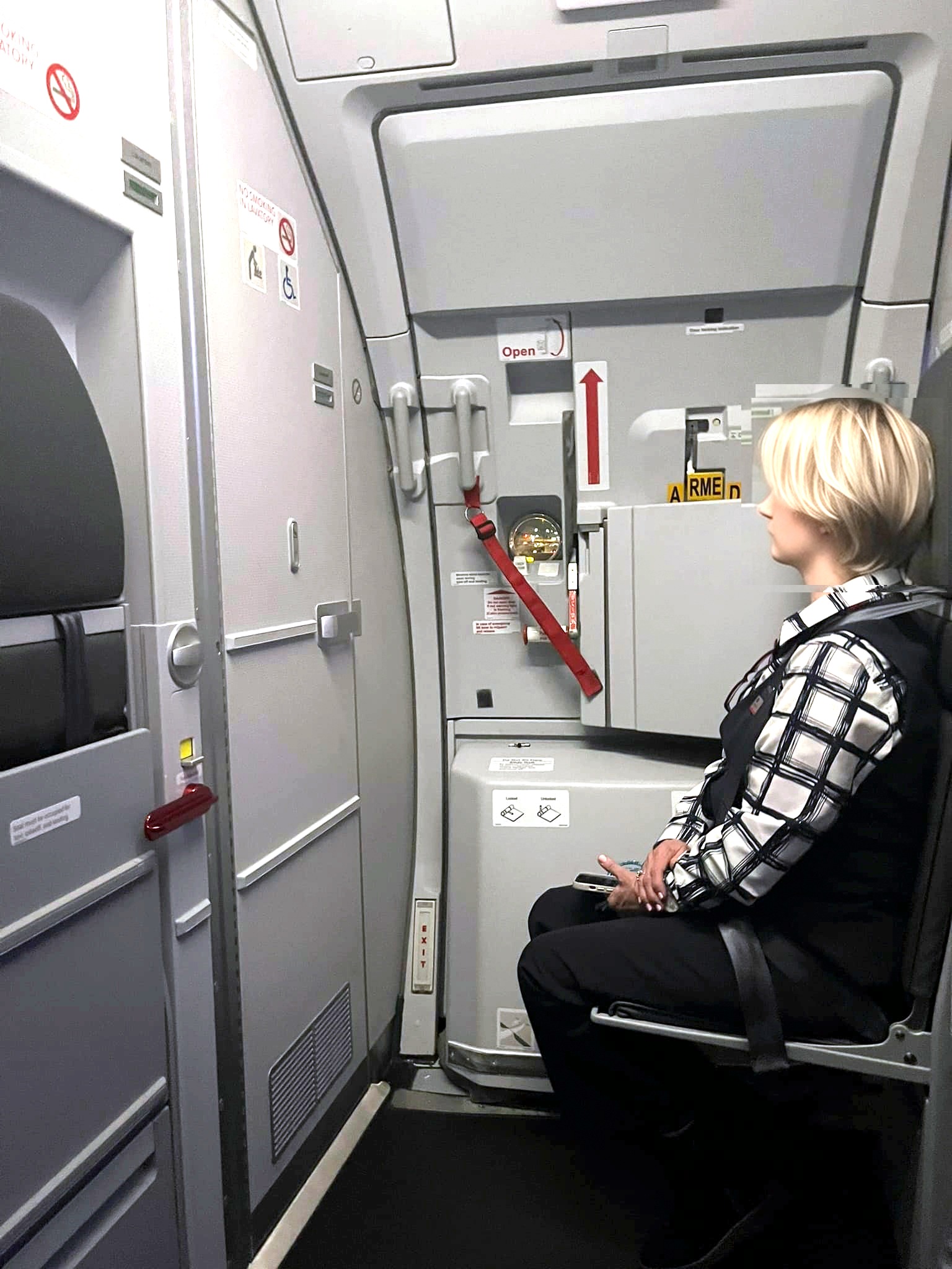 American Airlines New A319 Adds First Class Seats Without Removing ...