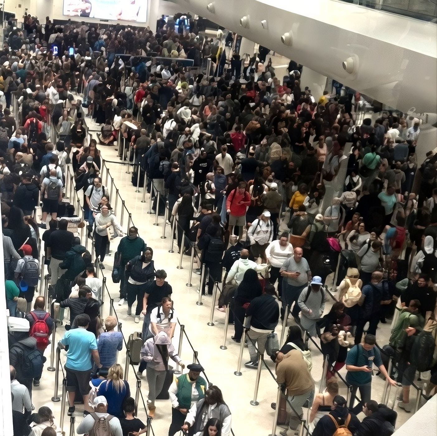 Trump Rejects Elon Musk’s Offer To Pay TSA Screeners — Security Lines Expected To Spiral