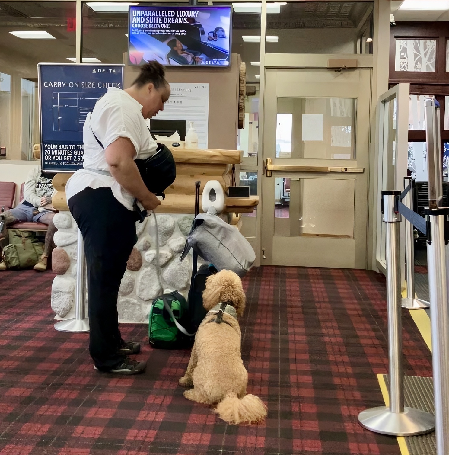 viewfromthewing.com - Gary Leff - Traveler At Pet-Friendly Hotel Pitched Dog Meat Restaurant Recommendations [Roundup]