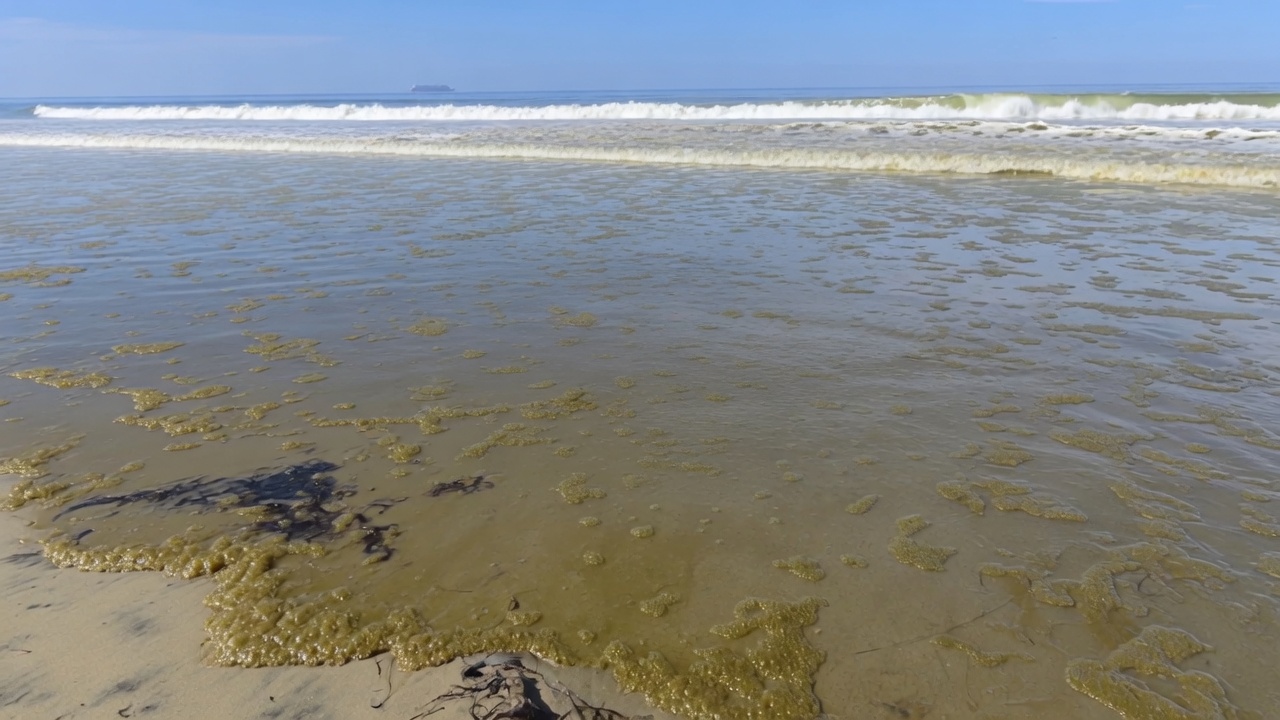 TravelWireDaily — Guests Pay $700 A Night At Hotel Del Coronado—While Sewage Taints The Ocean And Locals Get Air Purifiers